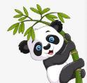 51自拍视频最新版